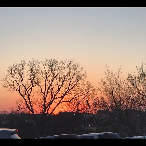 Meet your Posher, Beth - Picture 1 of 1